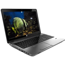 HP ProBook 455 G1 AMD