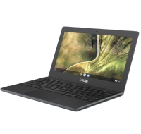 ASUS Chromebook C204EE laptop
