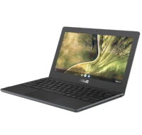 ASUS Chromebook C204EE