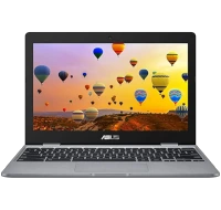 ASUS Chromebook C223NA