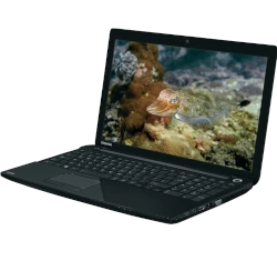 Toshiba Satellite C55-A Touchscreen