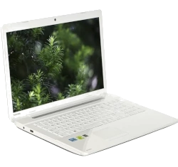 Toshiba Satellite C75-A Series laptop