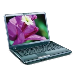 Toshiba Satellite M305