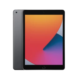 Apple iPad 10.2 8th Gen 128GB Wi-Fi + Cellular tablet