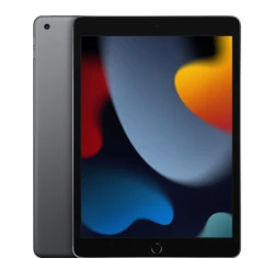 Apple iPad 10.2 9th Gen 256GB Wi-Fi + Cellular tablet