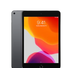 Apple iPad Mini 5th Gen 256GB Wi-Fi + Cellular tablet