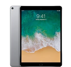 Apple iPad Pro 10.5 1st Gen 256GB Wi-Fi + Cellular