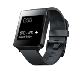 LG G Watch W100 watch